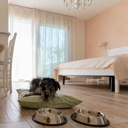 Pensionat Al Casale - Sambruson