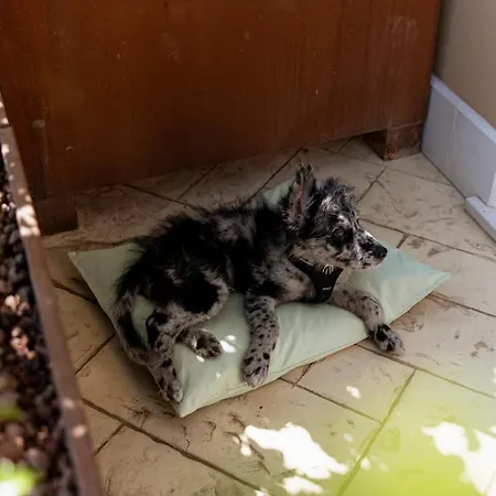 Pensionat Al Casale - Sambruson